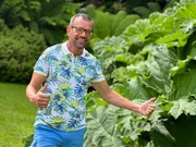 Karl Ploberger in den Trebah Gartenanlage.