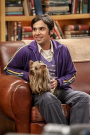 Kann sich vor Angeboten kaum retten: Raj (Kunal Nayyar) - bis plötzlich die Psychologin Beverly die wahren Gefühle aller Beteiligten ans Licht bringt ... Kann sich vor Angeboten kaum retten: Raj (Kunal Nayyar) - bis plötzlich die Psychologin Beverly die wahren Gefühle aller Beteiligten ans Licht bringt ...