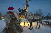 Der Weihnachtsmann bringt seine Geschenke mit Rentieren, so heißt es.