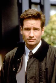 David Duchovny (Fox Mulder)