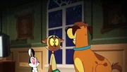 L-R: Bunnicula (voiced by Chris Kattan), Chester (voiced by Sean Astin), Harold (voiced by Brian Kimmet)