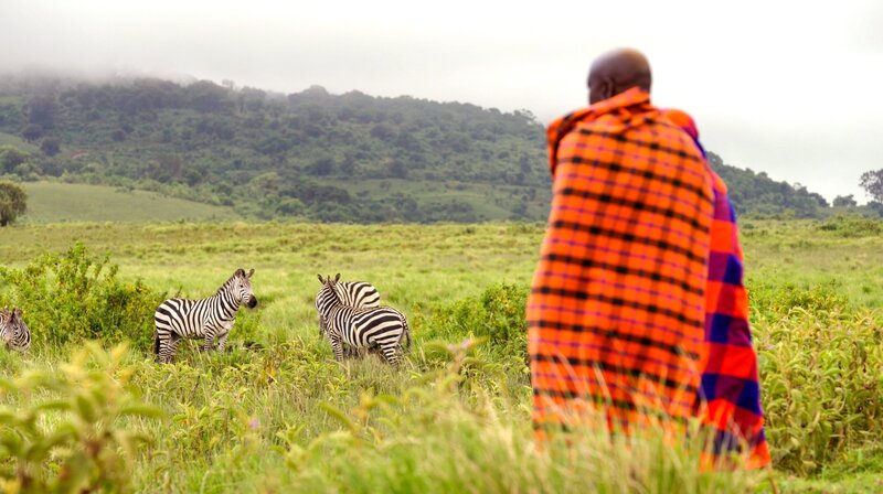 Grzimek und der Kampf um die Serengeti (D, 2025)