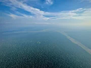 Der Amazonas ist die gr&uuml;ne Lunge der Welt.