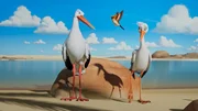 Claudius (Storch), Richard (Spatz) und Max (Storch) unterhalten sich am Strand des gro&szlig;en Sees.