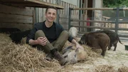 Saudoof, saufaul oder saudreckig - Schweine genießen nicht den besten Ruf! Ist da wirklich was dran? "PUR+"-Moderator Eric Mayer forscht im Schweinestall und auf der Weide. Zusammen mit "Schweine-Expertin" Dr. Marianne Wondrak testet Eric, wie schlau Schweine sind.