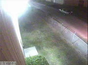 Überwachungskamera-Aufnahmen: Mona Nelon's Truck