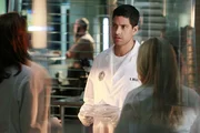 Das Team Natalia (Eva La Rue), Delko (Adam Rodriguez) und Calleigh (Emily Procter)