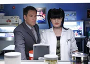 L-R: Anthony DiNozzo (Michael Weatherly) und Abby Sciuto (Pauley Perrette)
