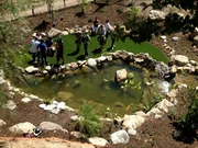 The team of "Fish Tank Kings" in the finished oasis.