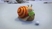 Schnecke freut sich über den ersten Schnee.