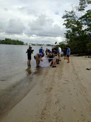 Location: Boca Raton, FL, USA: Students from Galaxy Elementary inspect the fishing net for marine creatures to put in their school's new aquarium.