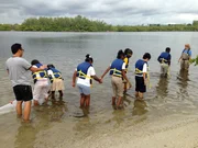 Location: Boca Raton, FL, USA: The students of Galaxy Elementary work together to find specimen's for their school's new aqauarium.