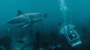 Buoyancy Problems