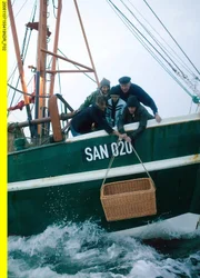 Knopfauge wird ausgewildert: Maren (Catrin Striebeck), Milla (Joanna Ferkic), Hanne (Barbara N&uuml;sse), Reinders (Oliver Korritke) und Jensen (Wilfried Dziallas).