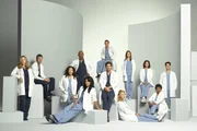 L-R: Dr. Hahn (Brooke Smith), Dr. Sloan (Eric Dane), Dr. Yang (Sandra Oh), Dr. Webber (James Pickens, Jr.), Dr. Torres (Sara Ramirez), Dr. Karev (Justin Chambers), Dr. Shepherd (Patrick Dempsey), Dr. Stevens (Katherine Heigl), Dr. Grey (Ellen Pompeo), Dr. Grey (Chyler Leigh), Dr. Bailey (Chandra Wilson) und Dr. O'Malley (T.R. Knight) ...