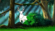 Faszinierend! Ein wei&szlig;er Hirsch taucht unerwartet im Wald auf!