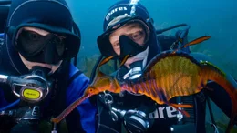 Uli Kunz und Tobi beim Tauchen in Tasmanien.