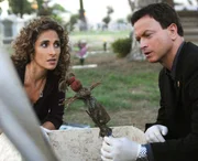 Melina Kanakaredes, Gary Sinise