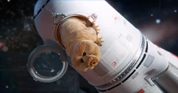 B&auml;rtierchen in der Rakete.