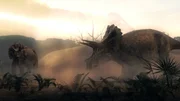 CGI: Two Triceratops roam through a three dimensional landscape. The Triceratops was one of the main sources of prey for the carnivorous Tyrannosaurus. CGI: Two Triceratops roam through a three dimensional landscape. The Triceratops was one of the main sources of prey for the carnivorous Tyrannosaurus.