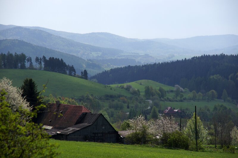 Auf der Suche nach dem Nazi-Goldzug (PL, 2016)