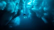 Geister der Arktis - Eishaie: Mächtige Eisberge säumen das Revier der Eishaie.