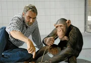 Prof. Baumgart (Gunter Scho&szlig;) versucht dem in menschlicher Obhut aufgewachsenen Schimpansen Ringo tierisches Verhalten beizubringen, um ihn im Zoo in ein Rudel integrieren zu k&ouml;nnen.