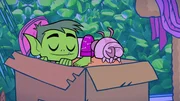 v.li.: Beast Boy, Silkie