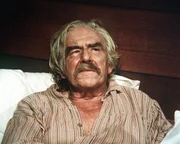 Kurz vor seinem Geburtstag hat Sam (Will Geer) einen Herzanfall erlitten und plötzlich scheint ihn all sein Lebensmut verlassen haben.