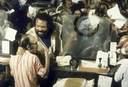 Banana Joe (Bud Spencer) versteht die Welt nicht mehr: Pl&ouml;tzlich braucht er eine Lizenz, um Bananen verkaufen zu k&ouml;nnen. Aber woher nehmen, wenn nicht stehlen ...