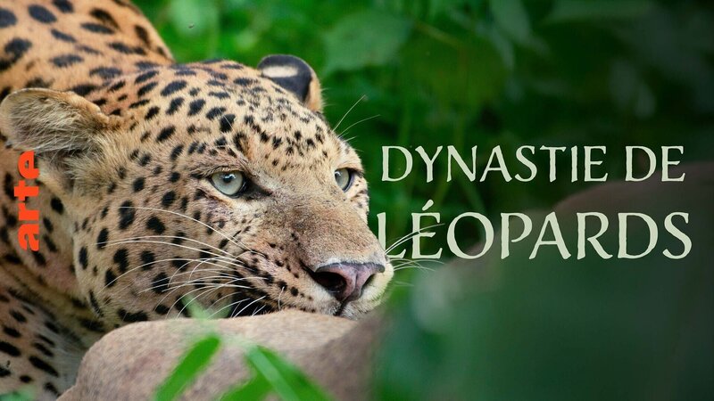 Die Leoparden-Dynastie – Aufstieg eines Prinzen (IND/F/A, 2025)