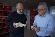Harald Lesch (l.) und der Pal&auml;oanatom Prof. Joris Peters (r.) vergleichen einen Wolfssch&auml;del mit dem eines Yorkshire Terriers. Kaum vorstellbar, dass diese Hunderasse vom Wolf abstammt. Aber wann und wie begann eigentlich die Beziehung von Wolf und Mensch?