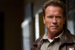 Ray Owens (Arnold Schwarzenegger)