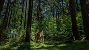 „Hänsel und Gretel“ ist das bekannteste und schockierendste aller Grimm-Märchen. Zwei kleine Kinder irren im Wald umher. Ihre Eltern haben sie einfach ausgesetzt. „Hänsel und Gretel“ ist das bekannteste und schockierendste aller Grimm-Märchen. Zwei kleine Kinder irren im Wald umher. Ihre Eltern haben sie einfach ausgesetzt.