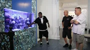 Tracy shows the guys his live reef tank.
