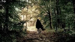 Aus J.R.R. Tolkiens Fantasie entstanden neben einzelnen Figuren wie Gandalf, Bilbo und Frodo auch ein Lebensraum im Wald.