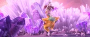 Shangri Llama