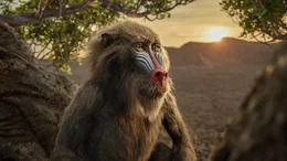 Rafiki