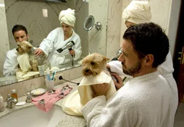 Lina (Julia Brendler) und Markus (Stephan Luca) versuchen fieberhaft, den Hund des Million&auml;rs Hofmeister nach seinem kleinen Schlammbad wieder vorzeigbar zu machen.
