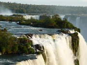 Coatis - wie die Nasenbären auf portugiesisch heißen - leben an den Wasserfällen von Iguassu. Coatis - wie die Nasenbären auf portugiesisch heißen - leben an den Wasserfällen von Iguassu.
