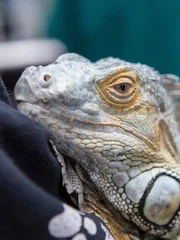 Behind the scenes of Dr Jeff Rocky Mountain Vet.