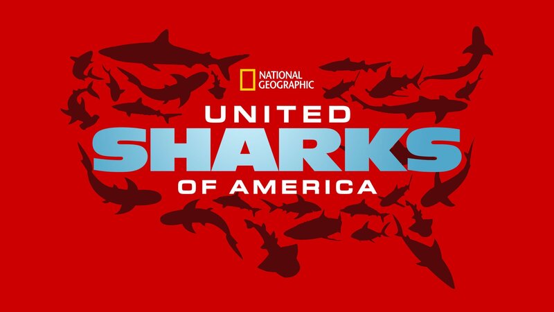 United Sharks of America (USA, 2015)