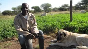 Armas with Anatolian dog sitting.