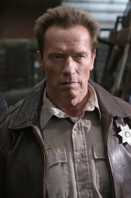 Sheriff Ray Owens (Arnold Schwarzenegger)