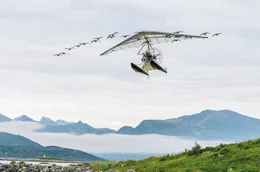 Thomas (Louis Vazquez) fliegt gemeinsam mit den Wildg&auml;nse von Norwegen nach Frankreich, und erlebt das gr&ouml;&szlig;te Abenteuer seines Lebens.