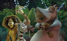 Alex, Marty, Melman und Gloria werden als Schiffbr&uuml;chige an die K&uuml;ste der exotischen Insel Madagascar gesp&uuml;lt. Nun m&uuml;ssen die Gro&szlig;stadttiere herausfinden, wie man in der Wildnis &uuml;berlebt ...