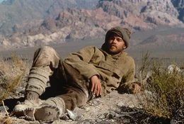 Heinrich Harrer  (Brad Pitt)