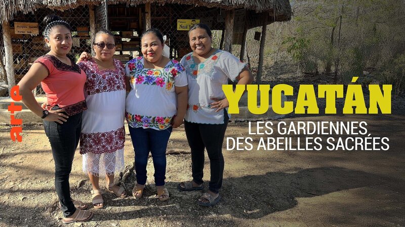 Die Honigfrauen von Yucatan – Las damas de la miel (D, 2025)