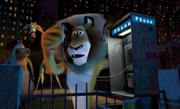 Mitten in der Nacht stellen Alex, Melman und Gloria fest, dass ihr Freund Marty, das Zebra aus dem Zoo verschwunden ist. Sie beschlie&szlig;en, selbst auszubrechen, um ihn zur&uuml;ckzuholen, bevor irgendjemand sein Verschwinden bemerkt ...
