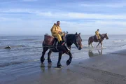 In Westflandern an der belgischen Küste wird noch ein uraltes Handwerk betrieben: das Fischen zu Pferd. Heute ist es UNESCO-Weltkulturerbe. In Westflandern an der belgischen Küste wird noch ein uraltes Handwerk betrieben: das Fischen zu Pferd. Heute ist es UNESCO-Weltkulturerbe.